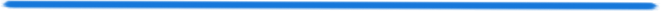 Meta Whale Ecosystem Blockchain